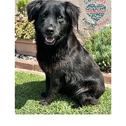 Photo of COH Heidi