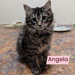 Photo of Angela