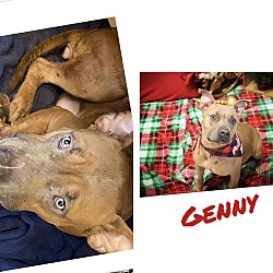 Thumbnail photo of Genny #4