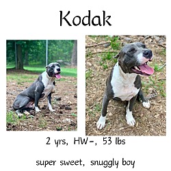 Thumbnail photo of Kodak #1