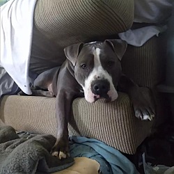Photo of Sheriff