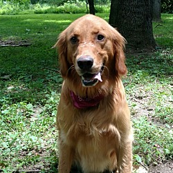 Photo of Jasper