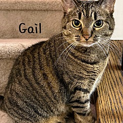 Photo of Gail
