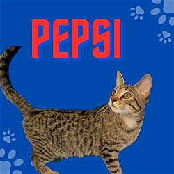 Thumbnail photo of Pepsi #2