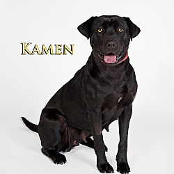 Thumbnail photo of Kamen #2