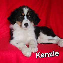 Photo of Kenzie
