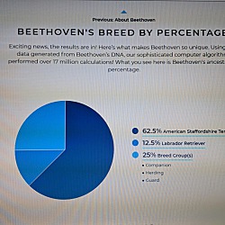 Thumbnail photo of Beethoven #3