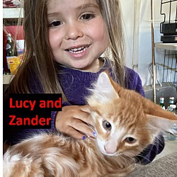 Thumbnail photo of Zander #3