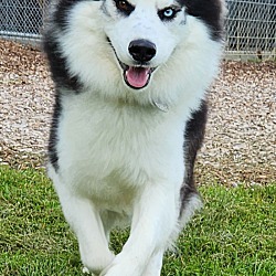 Photo of Dakota