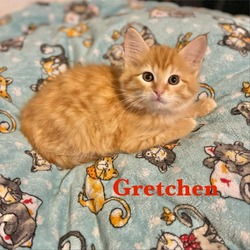 Thumbnail photo of Gretchen #2