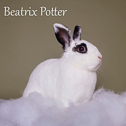 Thumbnail photo of Beatrix Potter #2