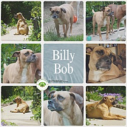 Photo of Billy Bob