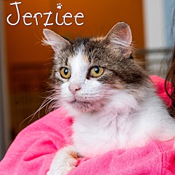 Photo of Jerziee