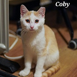 Thumbnail photo of Coby #2