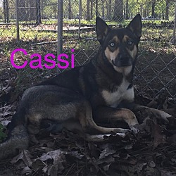 Photo of Cassi