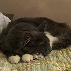 Photo of Luca