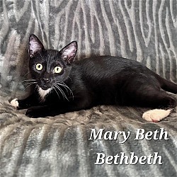 Photo of Mary Beth Bethbeth