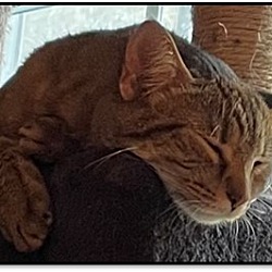 Photo of Button