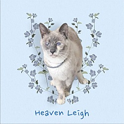 Photo of Heaven Leigh