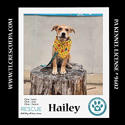 Thumbnail photo of Hailey (Summer Loves) 062924 #4