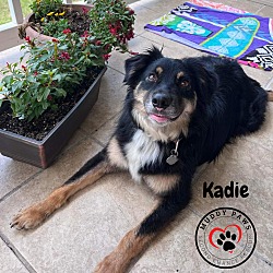 Photo of Kadie