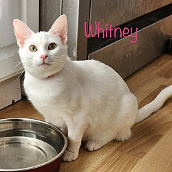 Photo of Whitney