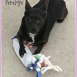 Thumbnail photo of Penelope #2