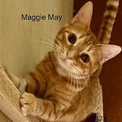 Photo of Maggie May