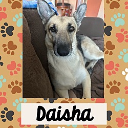 Photo of Daisha