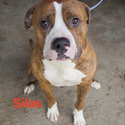 Photo of Silas