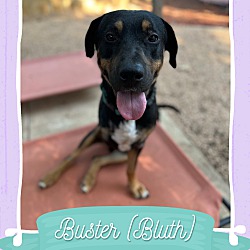 Photo of Buster (Bluth)