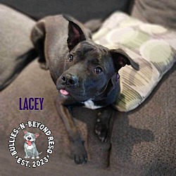 Thumbnail photo of Lacey #3