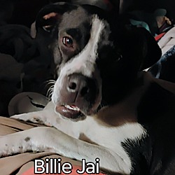 Photo of Billie Jai