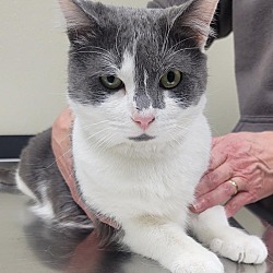 Photo of Baxter