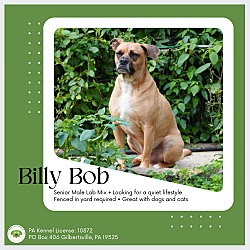 Thumbnail photo of Billy Bob #1