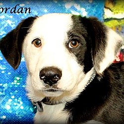 Thumbnail photo of Jordan~meet me! #3
