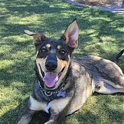 Photo of CHASE