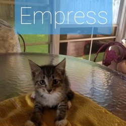 Thumbnail photo of Empress #2
