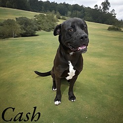 Photo of Cash