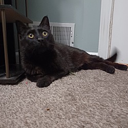 Photo of Bond