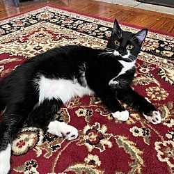 Photo of Helga Hufflefluff