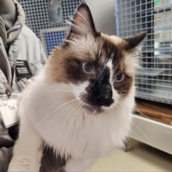 Photo of Mr. Claws