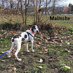 Photo of Malinche