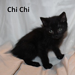 Photo of Chichi