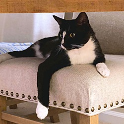Photo of Jack
