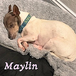Thumbnail photo of Maylin #2
