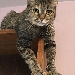 Photo of Abby Parker