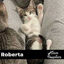 Photo of Roberta