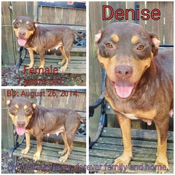 Thumbnail photo of Denise #2