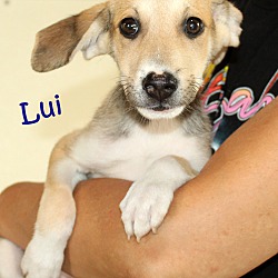 Thumbnail photo of Lui ~ meet me! #1